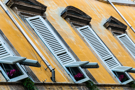 Blumen in Fenstern<br>offene edition Blumen in Fenstern - PHOTOGALERIE WIESBADEN - im süden - fenster und türen