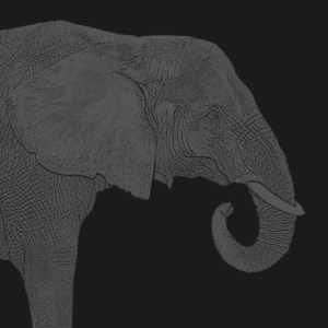 elefant profil dunkelschwarz elefant profil dunkelschwarz