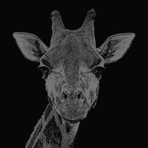 giraffe dunkelschwarz giraffe dunkelschwarz