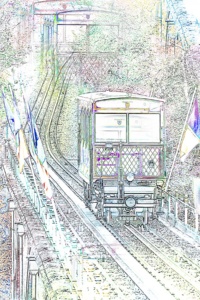 bild des jahres 2017 bild des jahres 2017