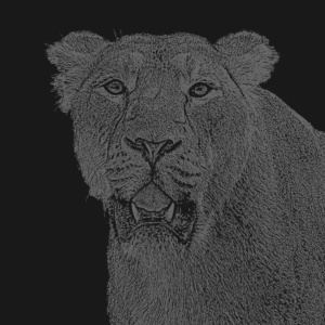 löwe dunkelschwarz löwe dunkelschwarz