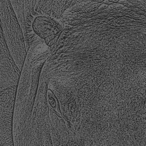 nilpferd ausschnitt dunkelschwarz nilpferd ausschnitt dunkelschwarz