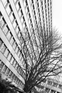 zeitenwandel heute 7 zeitenwandel heute 7