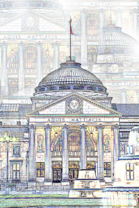 bild des jahres 2012 bild des jahres 2012