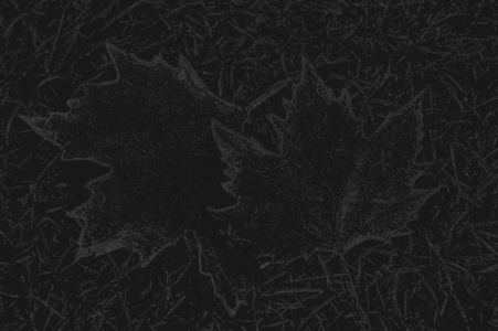 blätter 5 blätter 5