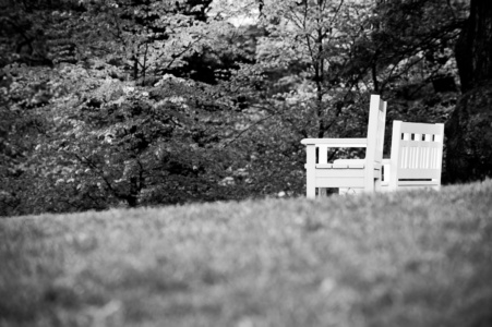 bänke auf dem neroberg (sw) -<br>offene editon bänke auf dem neroberg (sw) - PHOTOGALERIE WIESBADEN - wiesbaden - impressionen 2