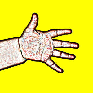 hände-19<br>limitierte edition haende-19 - PHOTOGALERIE WIESBADEN - haende