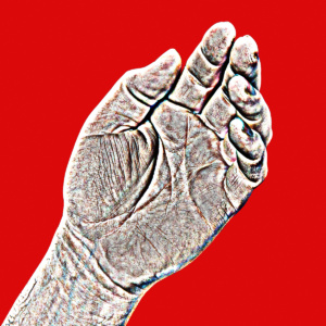 hände-29<br>limitierte edition haende-29 - PHOTOGALERIE WIESBADEN - haende