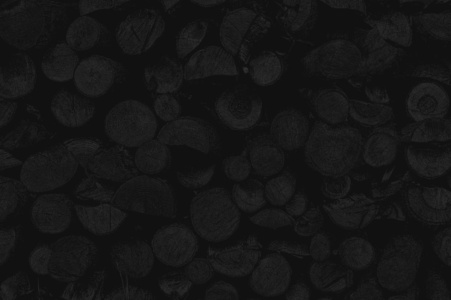 holzstapel holzstapel