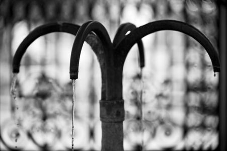 kochbrunnen (sw)<br>offene editon kochbrunnen (sw) - PHOTOGALERIE WIESBADEN - wiesbaden - impressionen 2