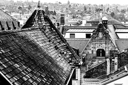 kontrast 24 kontrast 24