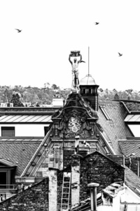 kontrast 26 kontrast 26