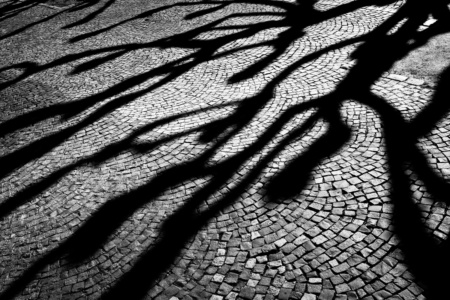 schatten an der wilhelmstraße (sw)<br>offene editon schatten an der wilhelmstraße (sw) - PHOTOGALERIE WIESBADEN - wiesbaden - impressionen 2
