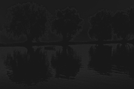 ufer mit weiden ufer mit weiden