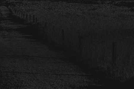 zaun auf wiese zaun auf wiese