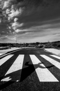 zebrastreifen - ernst-galonske-straße - schattenspiel (sw)<br>offene edition zebrastreifen - ernst-galonske-straße - schattenspiel (sw) - PHOTOGALERIE WIESBADEN - wiesbaden - impressionen 3